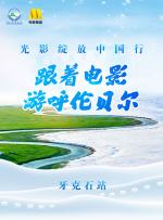 战争即将来到中土，堕落精灵阿达尔弃暗投明，与加拉德瑞尔一同并肩对抗索隆。