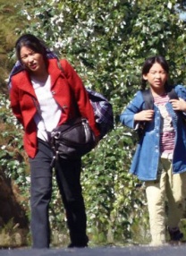 冷血杀手小队受雇卷入豪门纷争，却因巨额利益诱惑，陷入成员间的自相残杀。